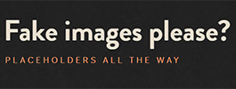 Fake Images